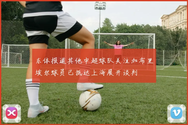 东体报道其他中超球队关注加布里埃尔球员已抵达上海展开谈判
